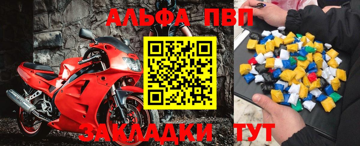 Alfa_PVP СК Гатчина