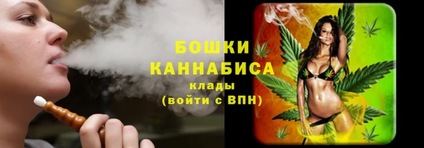 спайс Богданович