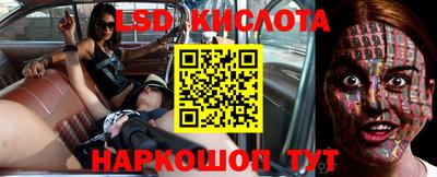 дживик Гатчина