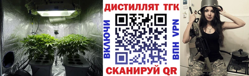 ОМГ ОМГ онион  Гатчина  Дистиллят ТГК жижа  даркнет сайт 