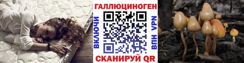 Галлюциногенные грибы MAGIC MUSHROOMS как найти Гатчина