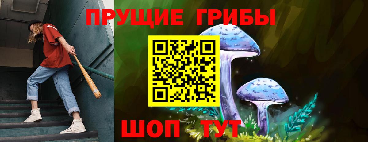 где купить наркоту  Вход с VPN  Гатчина  Галлюциногенные грибы MAGIC MUSHROOMS 