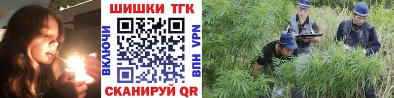 ОМГ ОМГ Гатчина Канабис ГИДРОПОН